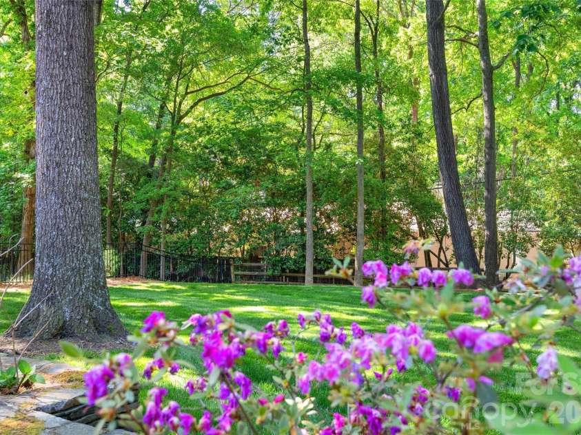4026 Sharon View Road, Charlotte, NC 28226.  MLS# CAR4346910, YatesRealty ID 4390. The spacious backyard with gorgeous landscaping.