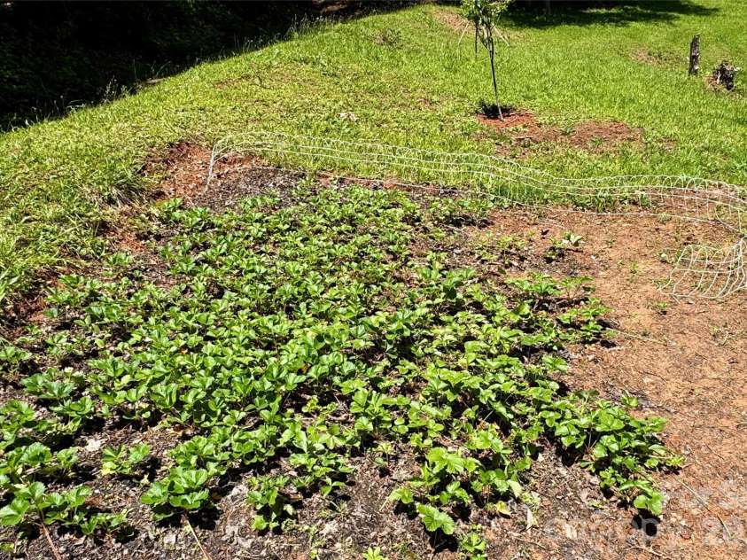 2050 Blowing Rock Boulevard, Lenoir, NC 28645.  MLS# CAR4341437, YatesRealty ID 4398. 