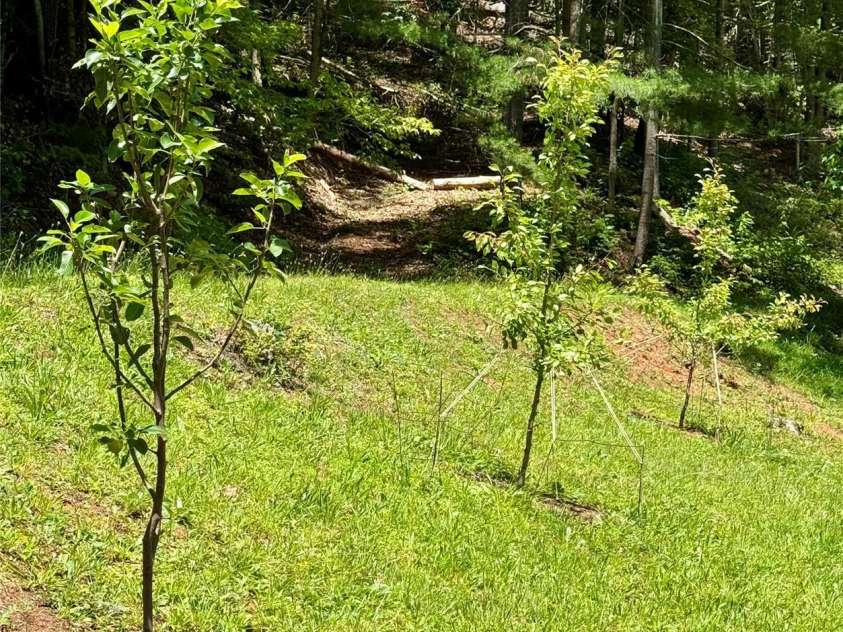 2050 Blowing Rock Boulevard, Lenoir, NC 28645.  MLS# CAR4341437, YatesRealty ID 4398. 