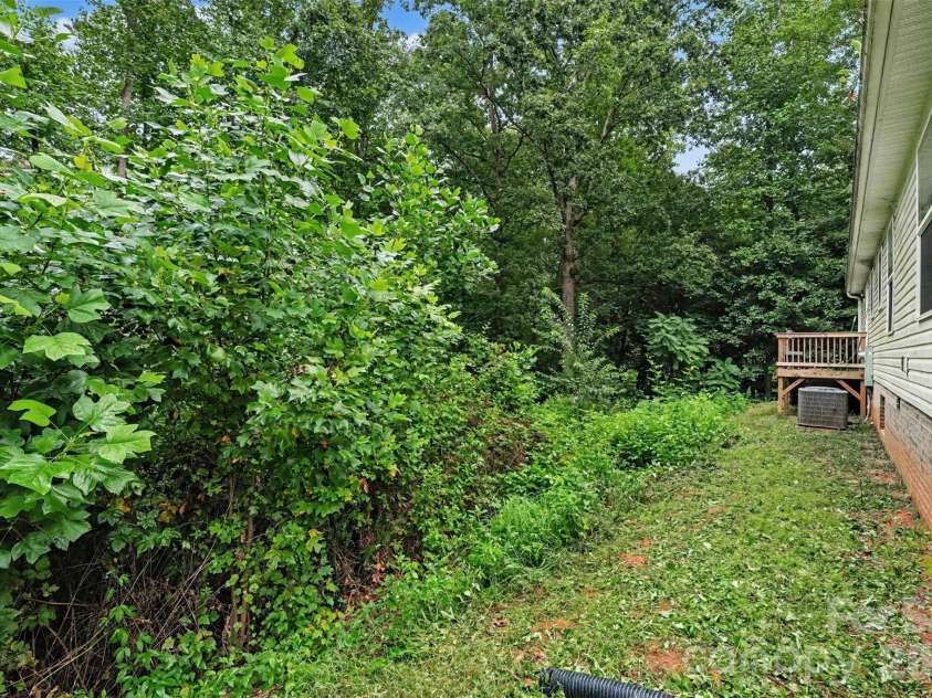 2998 Wilderness Trace, Claremont, NC 28610.  MLS# CAR4413940, YatesRealty ID 43985. Wooded Yard
