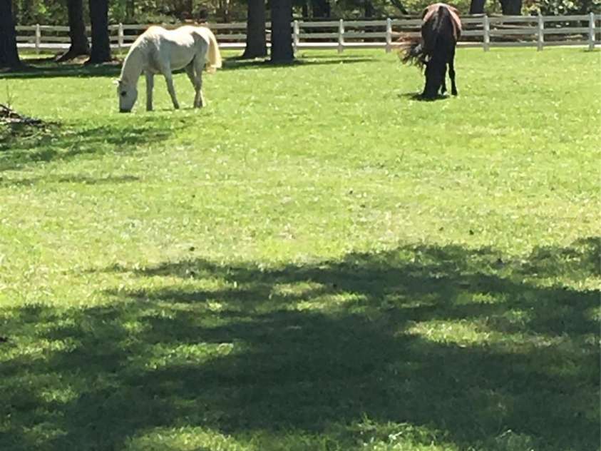 11215 Idlewild Road, Matthews, NC 28105.  MLS# CAR4281881, YatesRealty ID 44. 