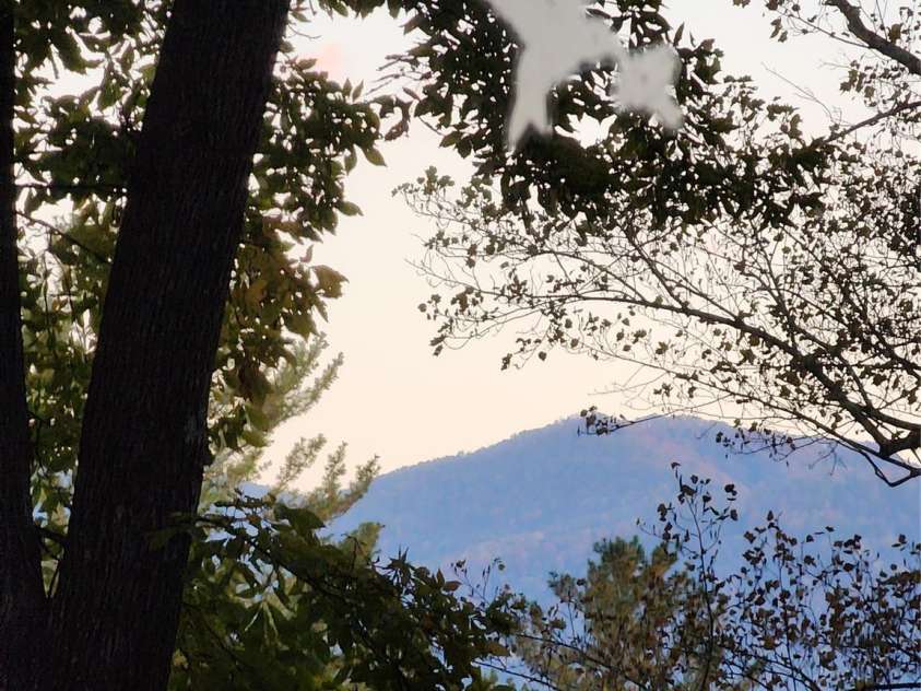 280 Kilgore Road, Waynesville, NC 28785.  MLS# CAR4242013, YatesRealty ID 4402. Summer