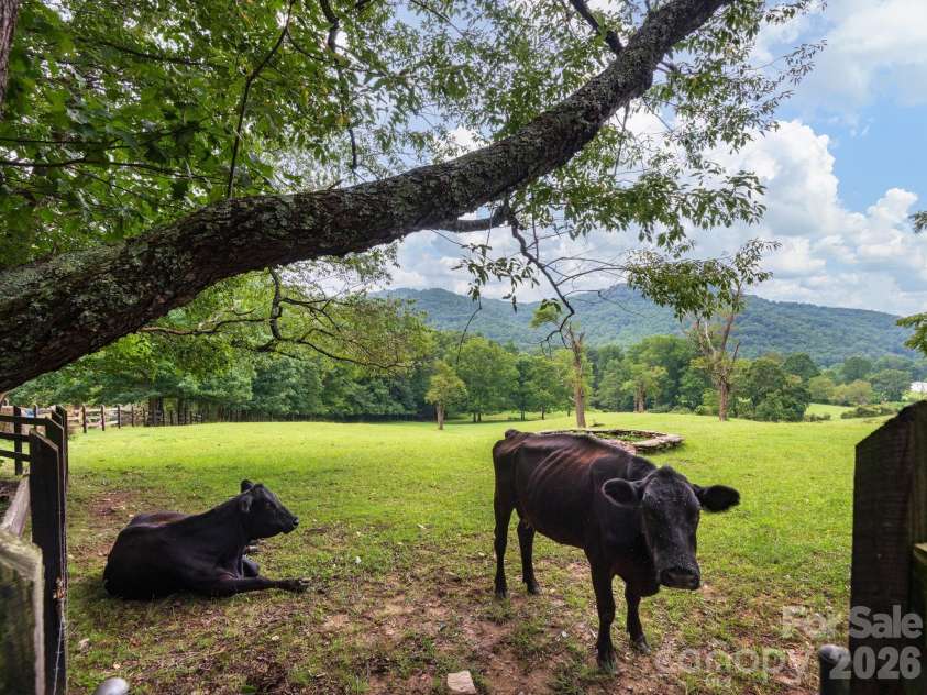 24 Nesbitts Olde Farm Road, Fairview, NC 28730.  MLS# CAR4367804, YatesRealty ID 44051. 