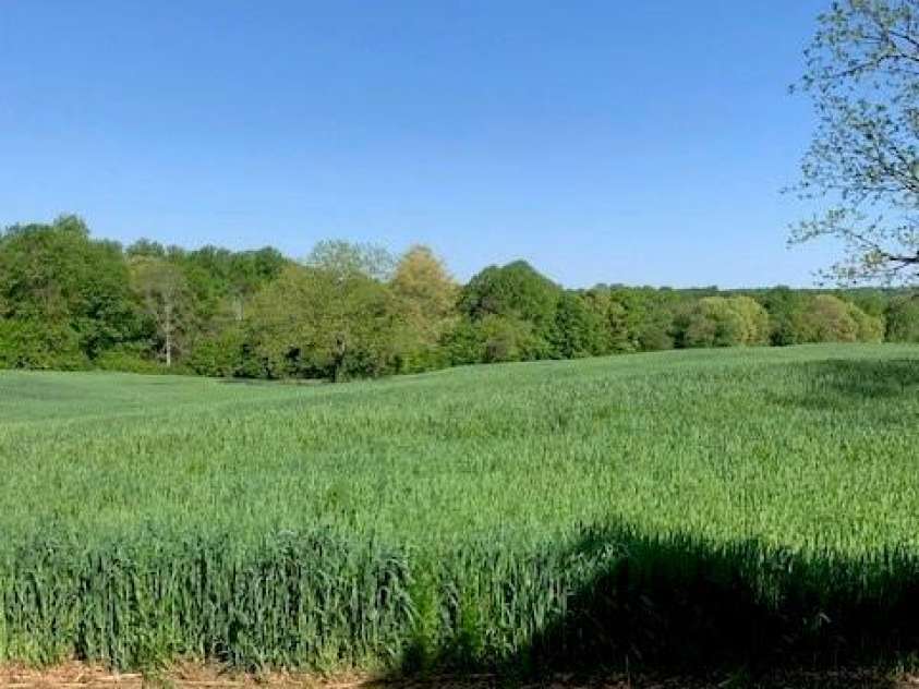 7804 Matthew Miller Road, Vale, NC 28168.  MLS# CAR4414557, YatesRealty ID 44066. 