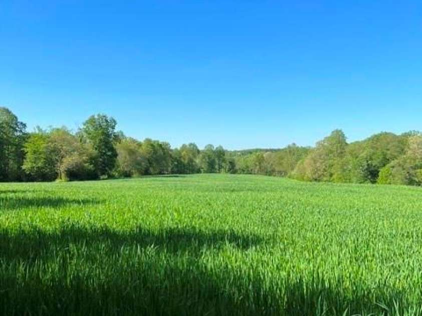 7804 Matthew Miller Road, Vale, NC 28168.  MLS# CAR4414557, YatesRealty ID 44066. 