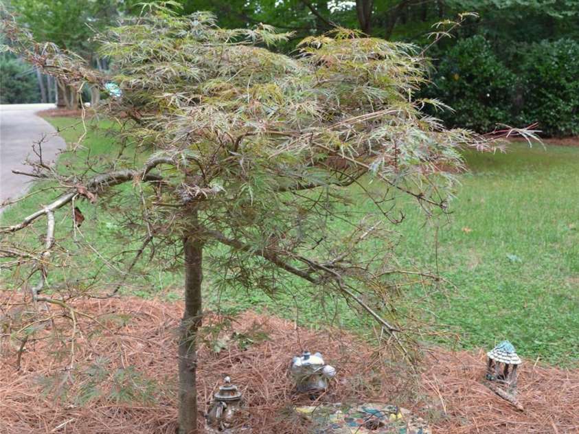 4721 Kuykendall Road, Charlotte, NC 28270.  MLS# CAR4413764, YatesRealty ID 44123. 