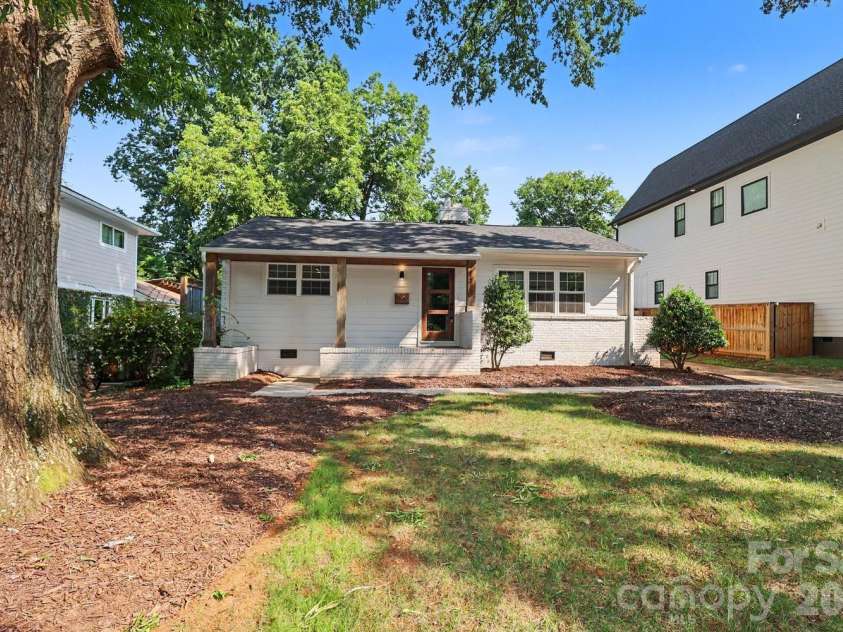 1333 Cortland Road, Charlotte, NC 28209.  MLS# CAR4413455, YatesRealty ID 44177. Gorgeous mature tree in front yard