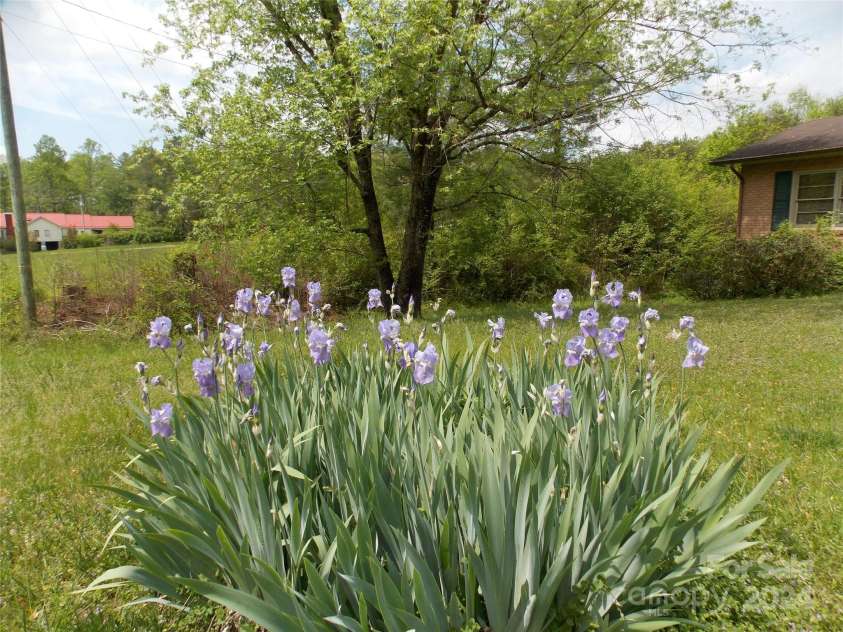 3349 Blue Creek Road, Lenoir, NC 28645.  MLS# CAR4102369, YatesRealty ID 4424. 