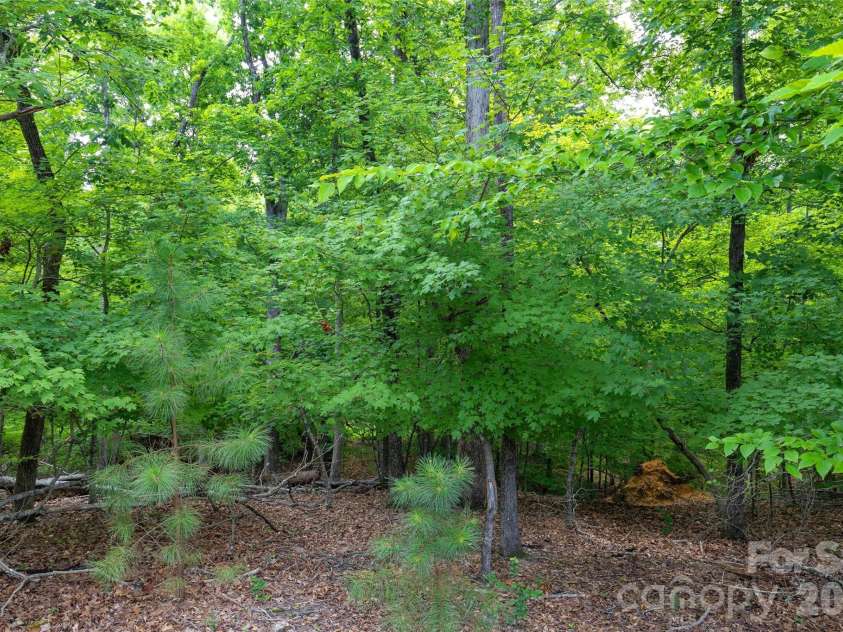 17232 Coves Edge Lane, Charlotte, NC 28278.  MLS# CAR4414653, YatesRealty ID 44369. 