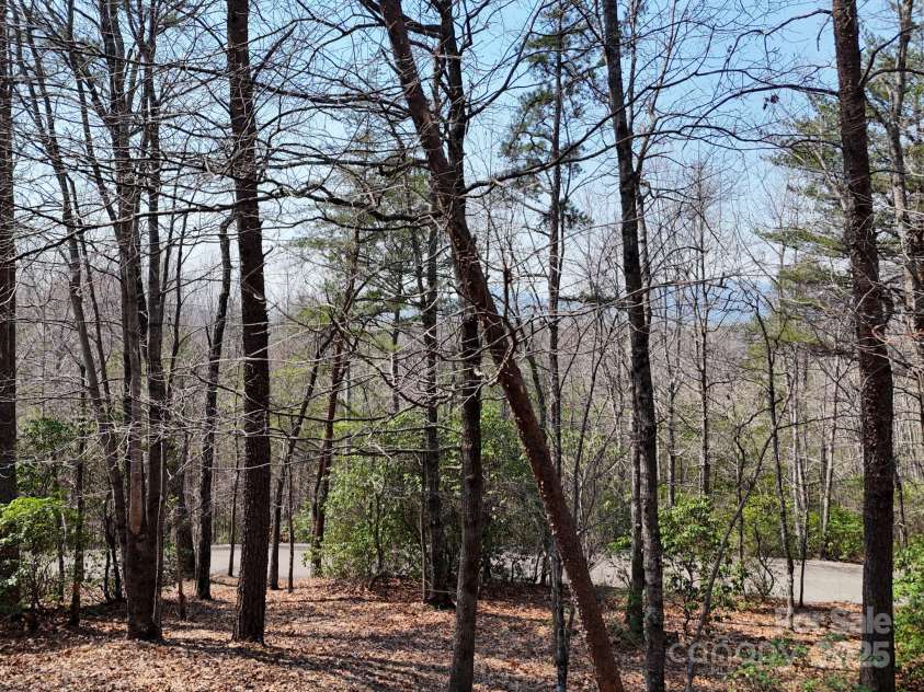 194 Long Ridge Drive, Lake Lure, NC 28746.  MLS# CAR4240542, YatesRealty ID 4442. 