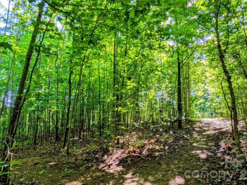 3985 Mt Hope Church Road, Salisbury, NC 28146.  MLS# CAR4414944, YatesRealty ID 44525. 