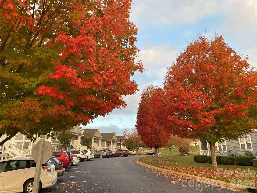 4402 Marble Way, Asheville, NC 28806.  MLS# CAR4413384, YatesRealty ID 44561. Colors from Last Fall