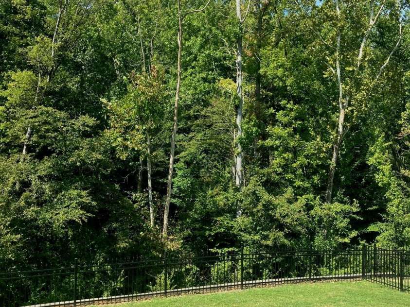 3626 Walter Nelson Road, Charlotte, NC 28227.  MLS# CAR4408794, YatesRealty ID 44621. 