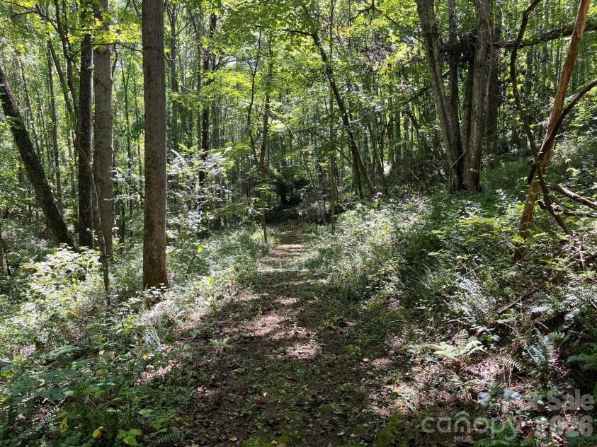 132 Hurd Road, Canton, NC 28716.  MLS# CAR4411733, YatesRealty ID 44644. Easy topo in the woodlands