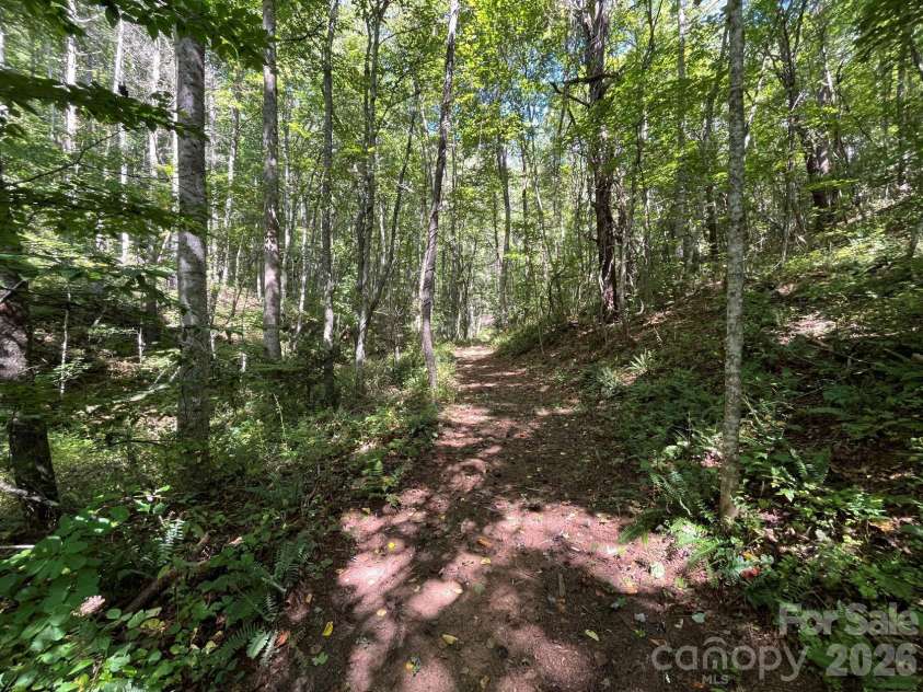 132 Hurd Road, Canton, NC 28716.  MLS# CAR4411733, YatesRealty ID 44644. Some of excellent interior trails