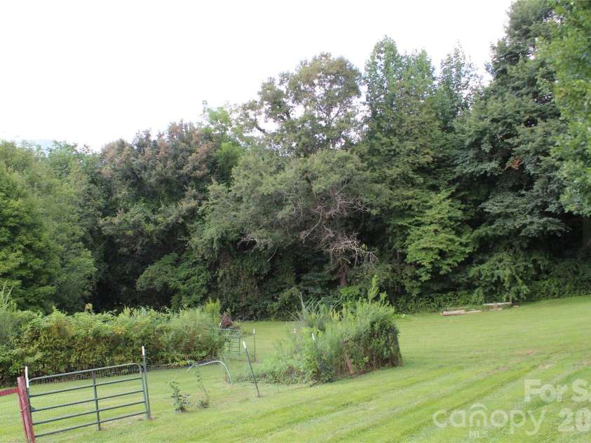 24 Karis Lane, Clyde, NC 28721.  MLS# CAR4414971, YatesRealty ID 44655. Blueberry bush