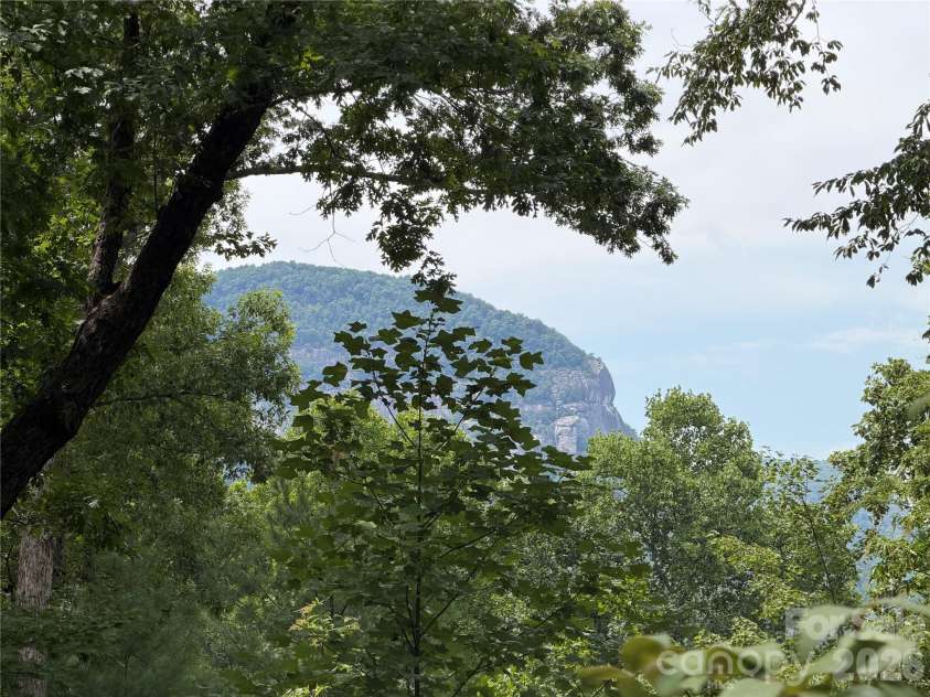 250 Luther Burbank Drive, Lake Lure, NC 28746.  MLS# CAR4412130, YatesRealty ID 44687. 