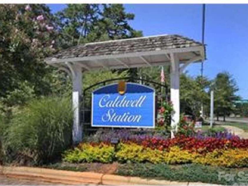 10541 Trolley Run Drive, Cornelius, NC 28031.  MLS# CAR4408681, YatesRealty ID 44699. 