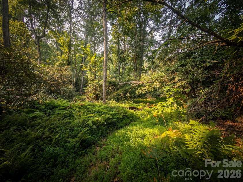 328 Wooded Valley Lane, Burnsville, NC 28714.  MLS# CAR4409092, YatesRealty ID 44933. Path to the River