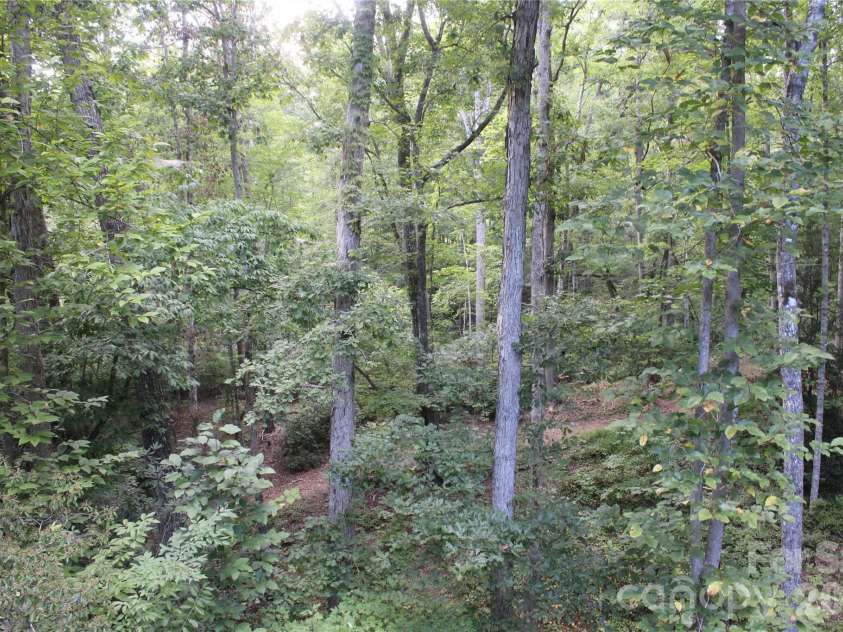 192 Wren Drive, Rutherfordton, NC 287139.  MLS# CAR4415505, YatesRealty ID 44943. 