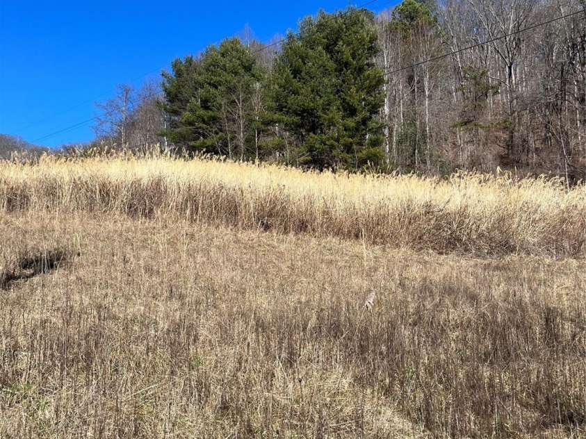 1010 Fisher Branch Road, Marshall, NC 28753.  MLS# CAR4114181, YatesRealty ID 4495. 