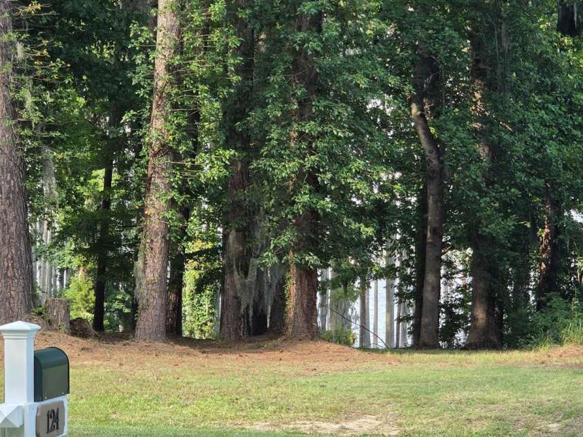 124 Providence Place, Chocowinity, NC 27817.  MLS# CAR4415044, YatesRealty ID 45018. Seasonal River view