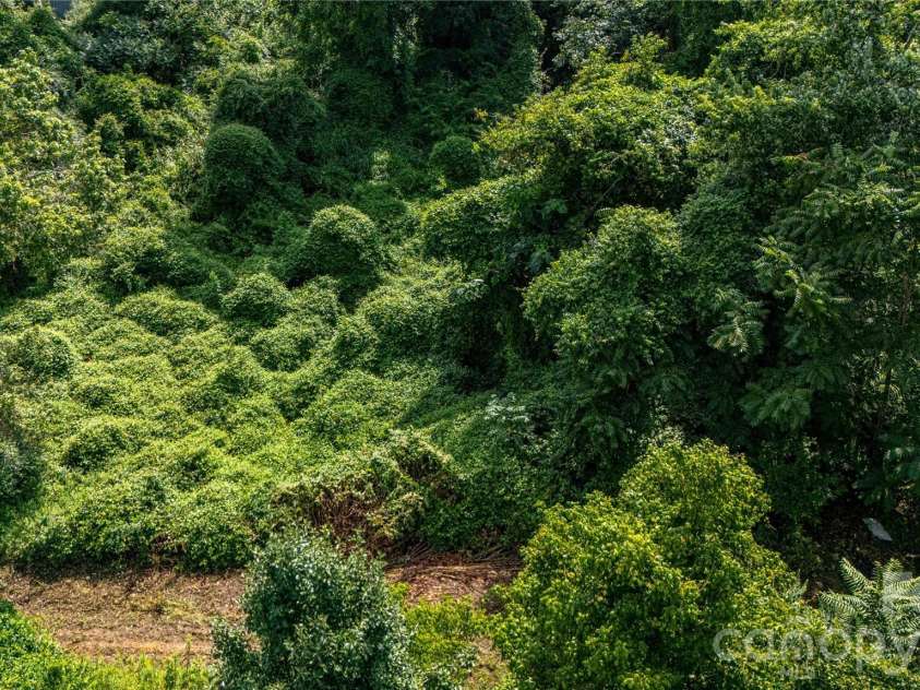 133 Brickyard Road, Asheville, NC 28806.  MLS# CAR4414988, YatesRealty ID 45028. 