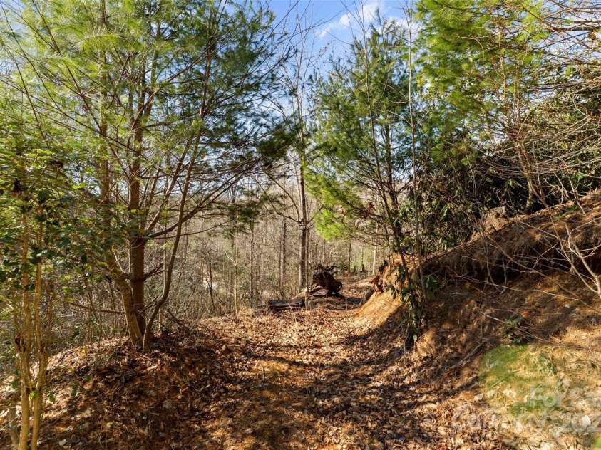 2773 Brigadoon Lane, Lenoir, NC 28645.  MLS# CAR4228334, YatesRealty ID 4509. Trail