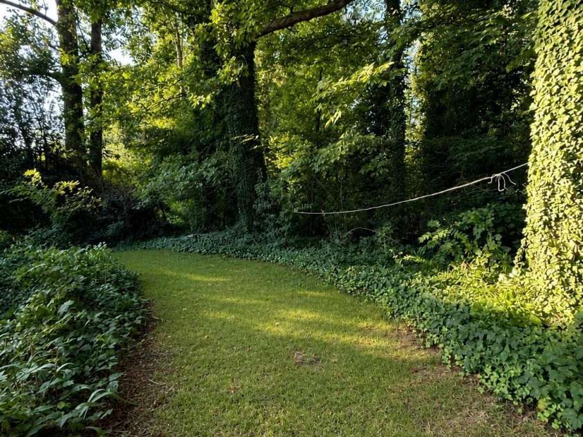 6124 Donna Drive, Charlotte, NC 28213.  MLS# CAR4416169, YatesRealty ID 45289. 