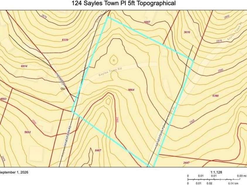 124 Sayles Town Place, Fairview, NC 28730.  MLS# CAR4415601, YatesRealty ID 45387. 