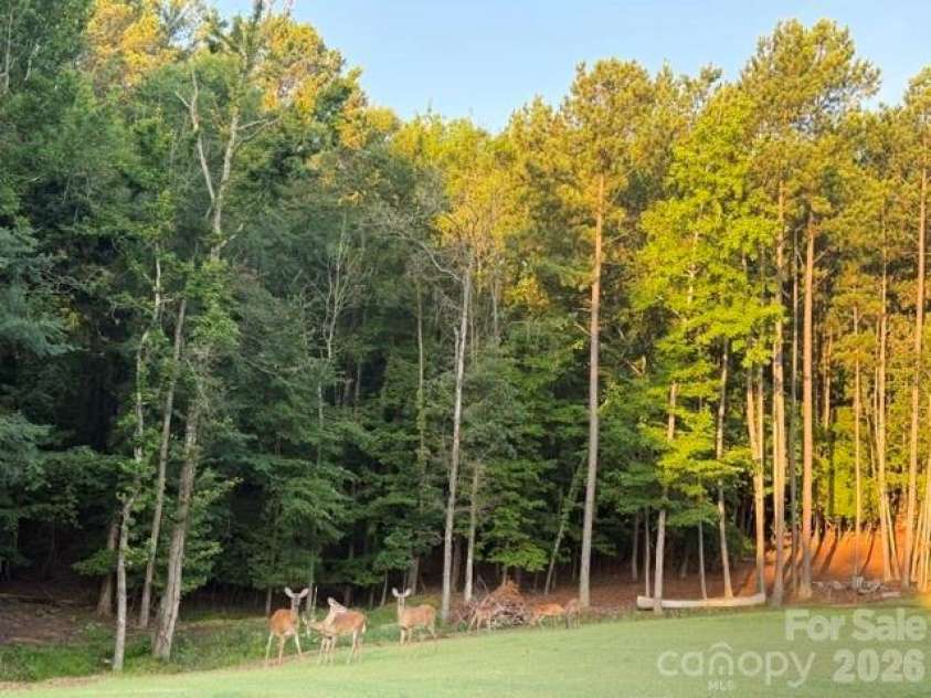 2055 Tiger Paw Lane, York, SC 29745.  MLS# CAR4406263, YatesRealty ID 45420. 