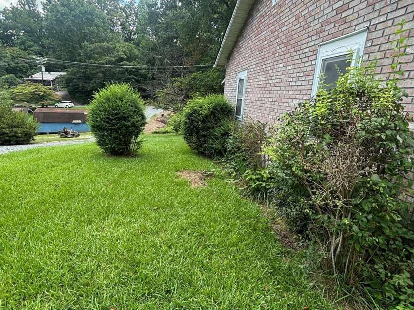 40 Beaver Street, Tryon, NC 28782.  MLS# CAR4415239, YatesRealty ID 45438. 
