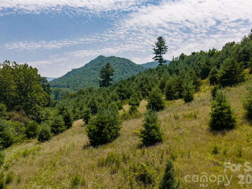 31 Mcclure Creek Road, Canton, NC 28716.  MLS# CAR4408133, YatesRealty ID 45461. 