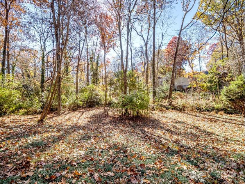 2111 Sagamore Road, Charlotte, NC 28209.  MLS# CAR4323130, YatesRealty ID 455. Backyard