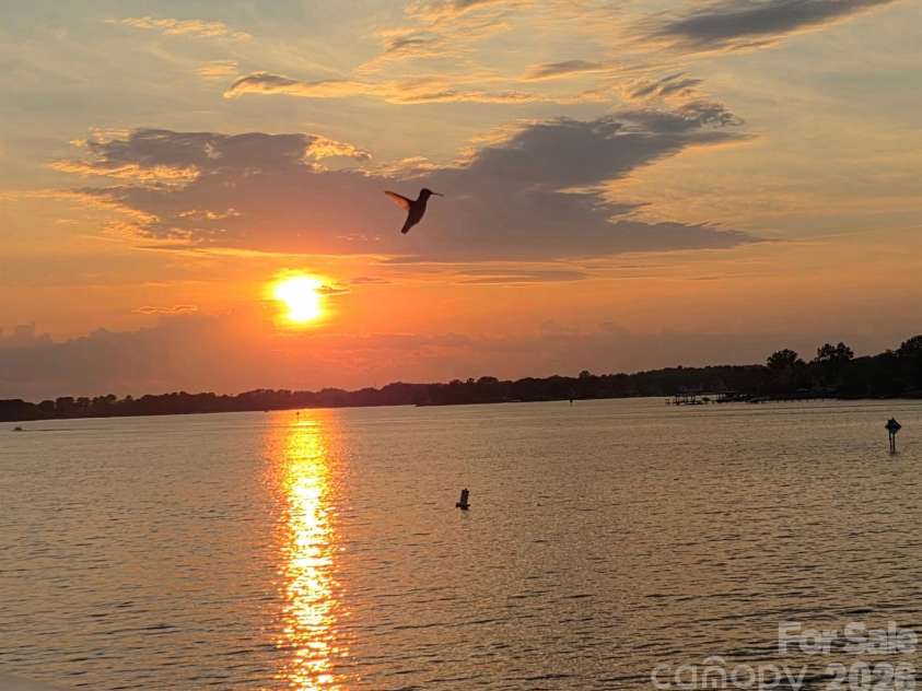 18613 Vineyard Point Lane, Cornelius, NC 28031.  MLS# CAR4409285, YatesRealty ID 45514. Even the hummingbirds love the sunset views!