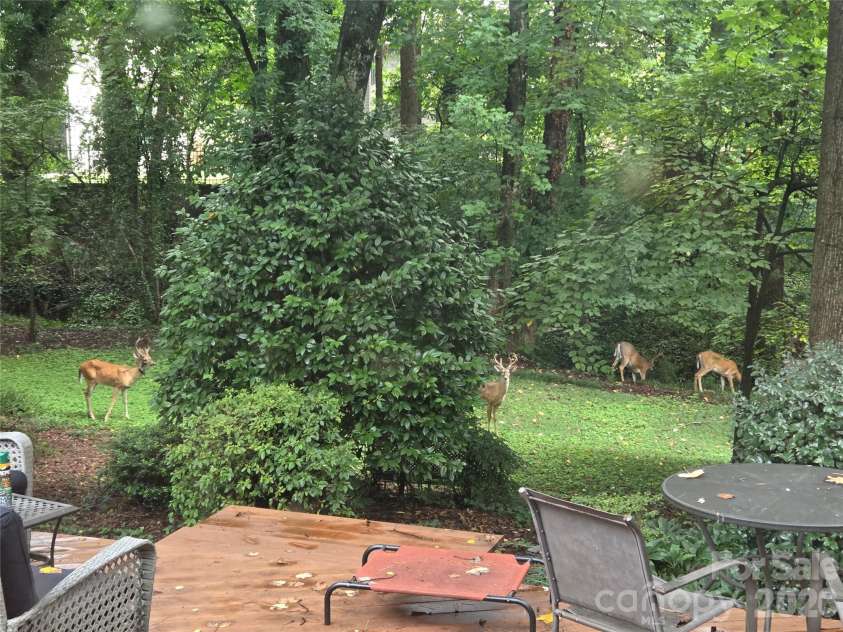 6123 Page Court, Charlotte, NC 28270.  MLS# CAR4413646, YatesRealty ID 45583. 