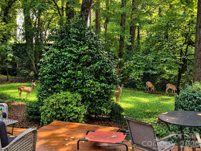 6123 Page Court, Charlotte, NC 28270.  MLS# CAR4413646, YatesRealty ID 45583. 