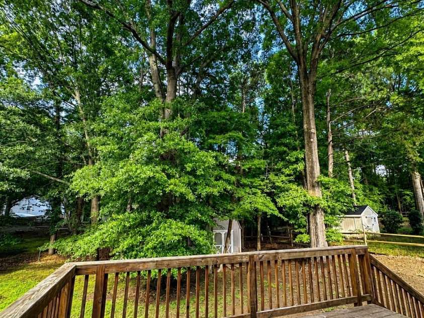8826 Leipzig Drive, Charlotte, NC 28210.  MLS# CAR4401179, YatesRealty ID 45678. View from the Back Deck