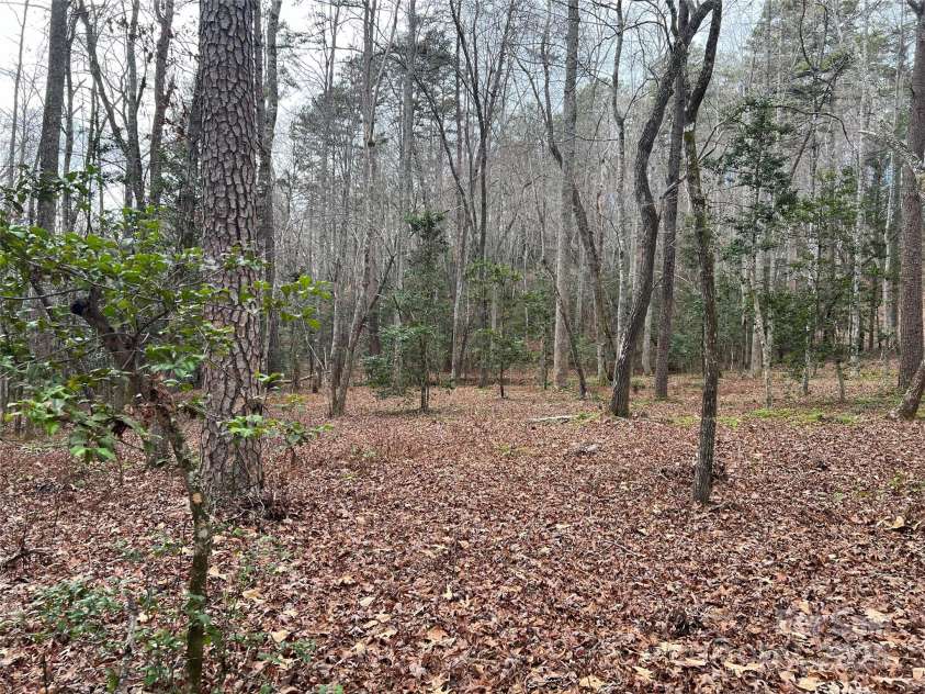 231 Wandering Bear Way, Lake Lure, NC 28746.  MLS# CAR4292904, YatesRealty ID 4571. 