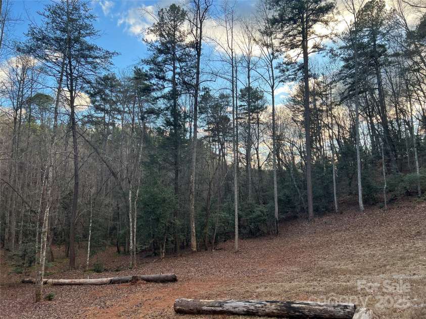 231 Wandering Bear Way, Lake Lure, NC 28746.  MLS# CAR4292904, YatesRealty ID 4571. 