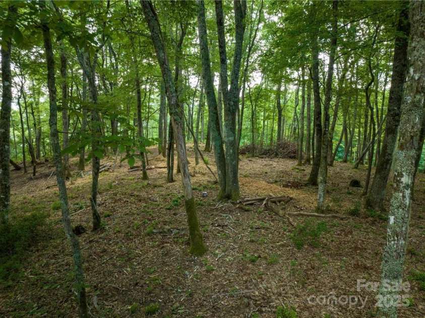 167 Bold Springs Road, Sylva, NC 28779.  MLS# CAR4226014, YatesRealty ID 4573. 