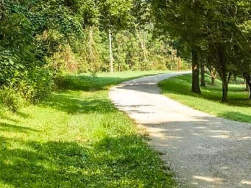 4824 Farm Pond Lane, Charlotte, NC 28212.  MLS# CAR4408628, YatesRealty ID 45757. 