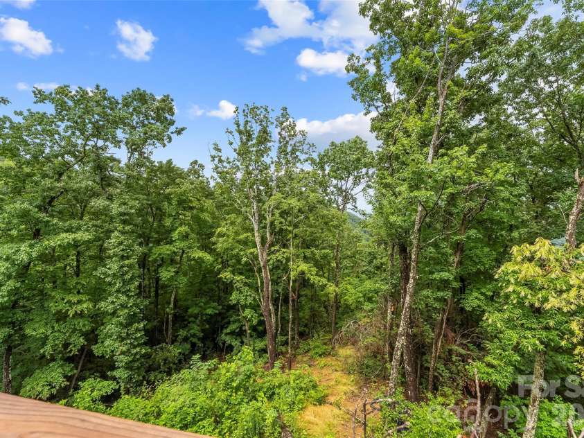 266 Potomac Falls Drive, Black Mountain, NC 28711.  MLS# CAR4404830, YatesRealty ID 45789. 