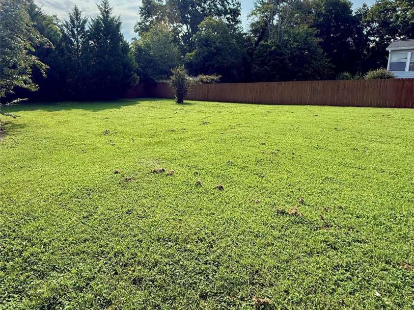401 Mulberry Street, Cherryville, NC 28021.  MLS# CAR4416640, YatesRealty ID 45800. Back Yard