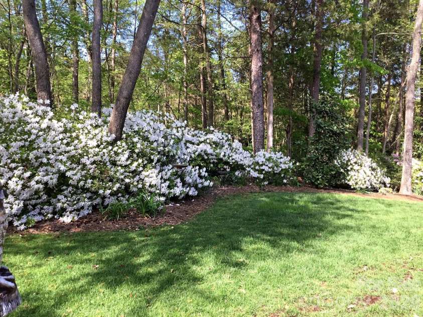 8724 Suninghurst Lane, Charlotte, NC 28277.  MLS# CAR4415077, YatesRealty ID 45802. Spring