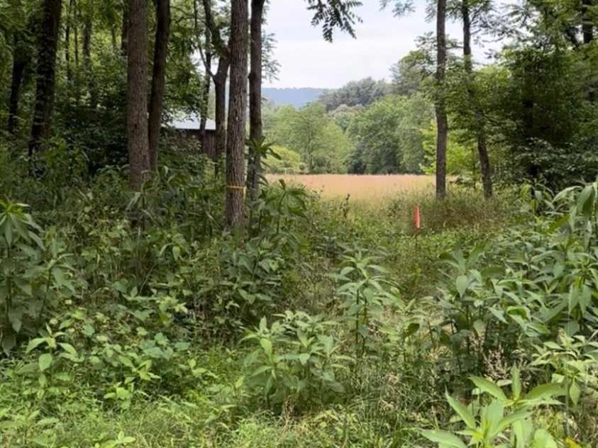 65 Owenby Road, Candler, NC 28715.  MLS# CAR4354609, YatesRealty ID 4587. 