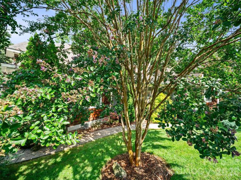 6 Oak Springs Drive, Arden, NC 28704.  MLS# CAR4414524, YatesRealty ID 45873. Lush landscaping