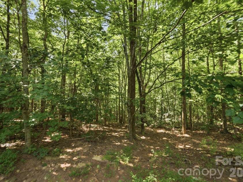 464 Mason Road, Ellenboro, NC 28040.  MLS# CAR4413857, YatesRealty ID 45942. 