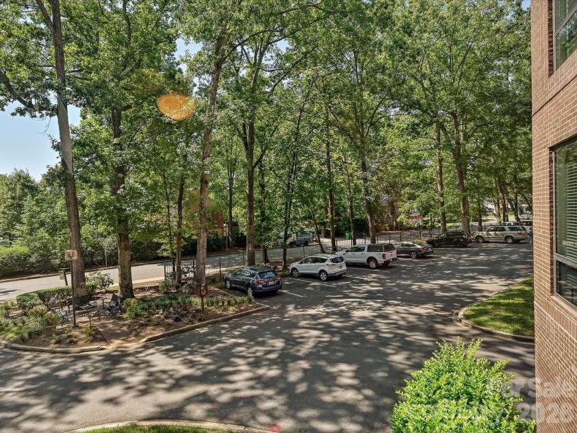 806 Cherokee Road, Charlotte, NC 28207.  MLS# CAR4415796, YatesRealty ID 46018. View from sunroom