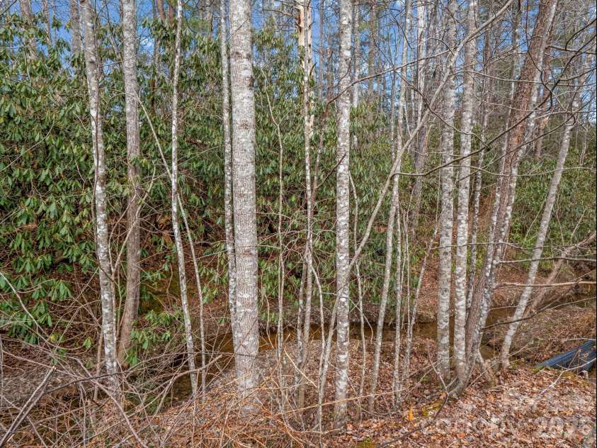 220 Jonathan Creek Drive, Etowah, NC 28729.  MLS# CAR4340681, YatesRealty ID 4606. 